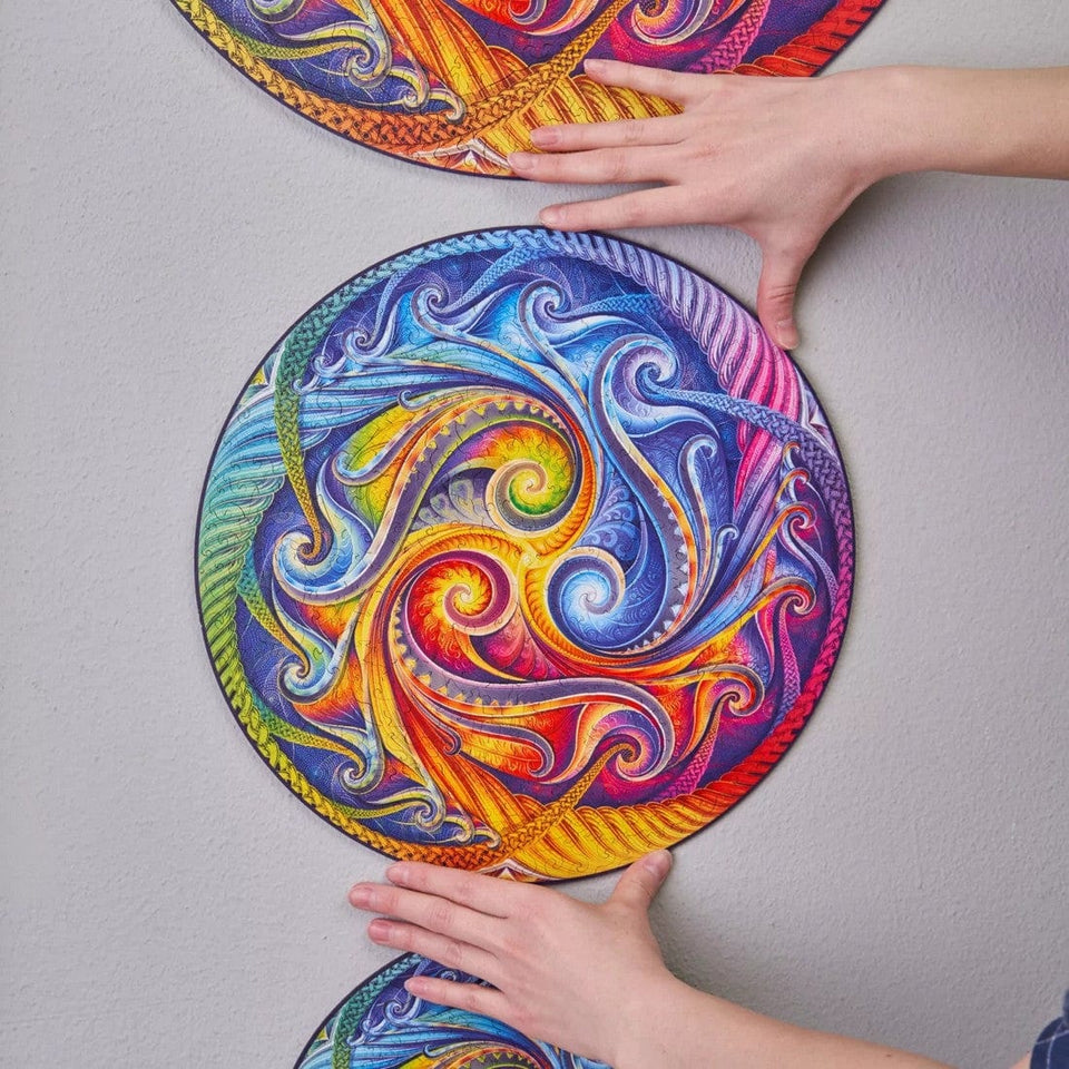 Mandala Spiral Incarnation